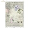 retro, kwiaty, hortensja, hortensje, ogród, łąka, ważka, ważki, ornament, stare napisy, zegarek, flowers, hydrangeas, garden, meadow, dragonfly, dragonflies, ornament, old lettering, watch, Blumen, Hortensien